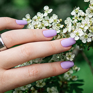 Sunshine Nails & Spa gallery